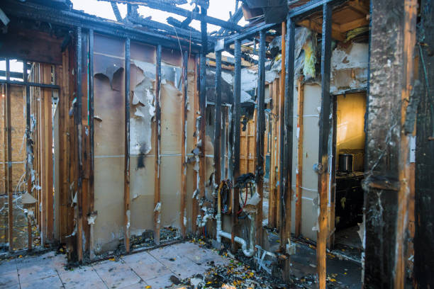 Professional Fire Damage Removal technician working in Ellenton, FL