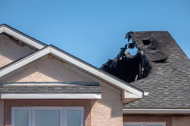 Top rated local Fire Damage Removal specialists in Ellenton, FL